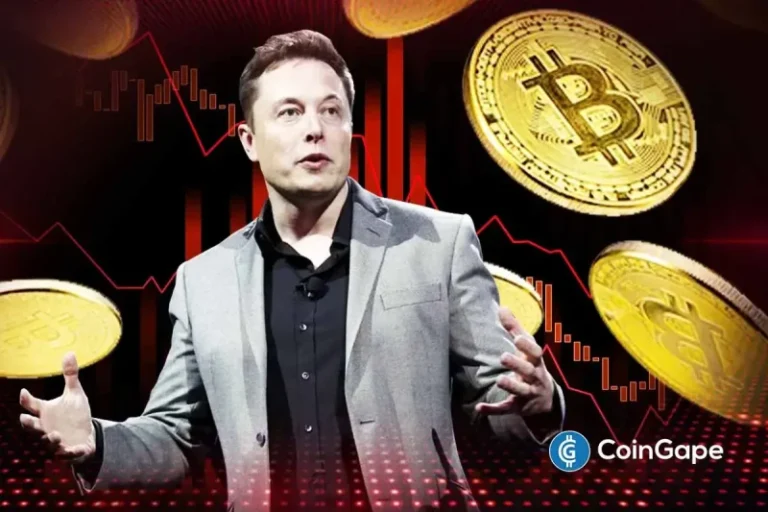 BREAKING: Elon Musk Endorses Bitcoin Again After Years Amid Crypto Bloodbath